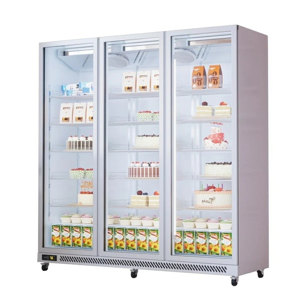 Convenience Store Cooler Glass Door best