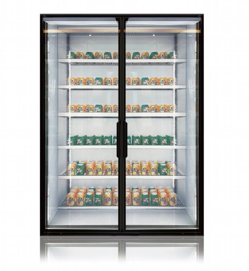 Double Low-e Glass Door