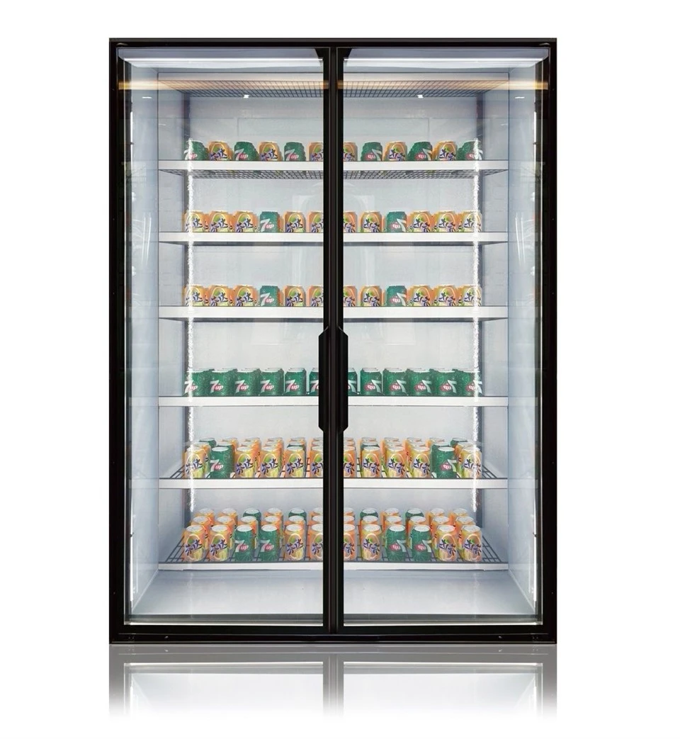 Double Tempered Cooler Glass Door