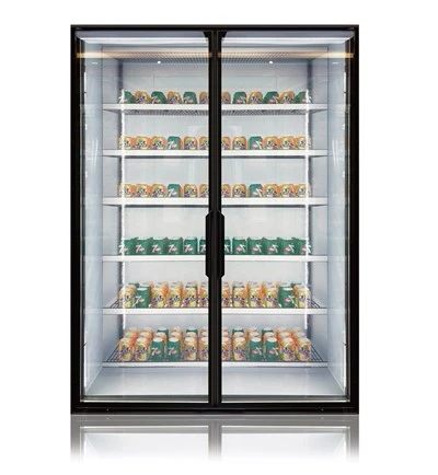 Double Tempered Cooler Glass Door