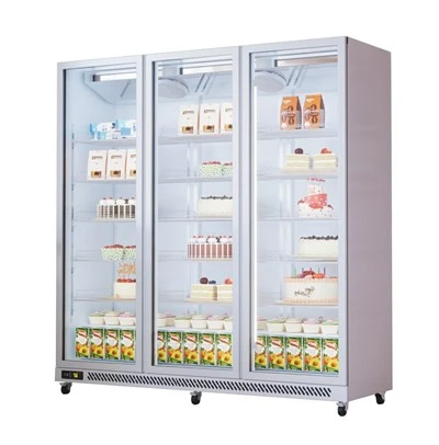 Frozen Food Display Freezer